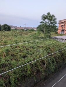 ACIREALE, TERRENO INCOLTO A RISCHIO INCENDIO TRA VIA MARIO ARCIDIACONO E CORSO ITALIA.