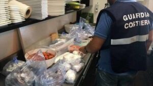 GUARDIA COSTIERA: MULTE PER 15MILA EURO E QUASI MEZZA TONNELLATA DI PESCE SEQUESTRATO