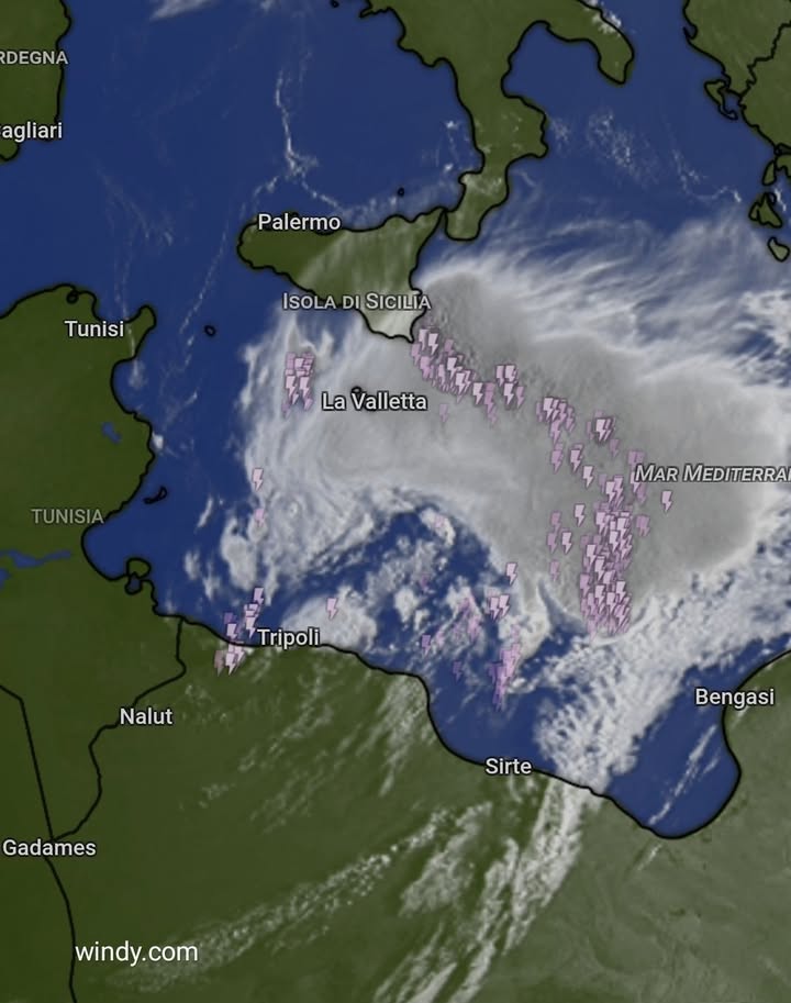 Scopri di più sull'articolo MONSTRE!!!