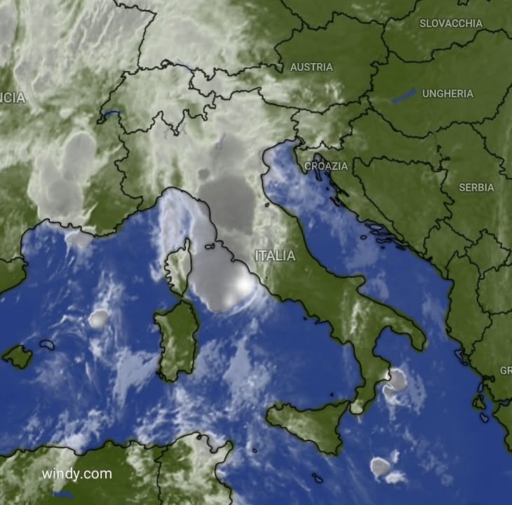 Scopri di più sull'articolo QUALCOSA ANCHE DOMANI