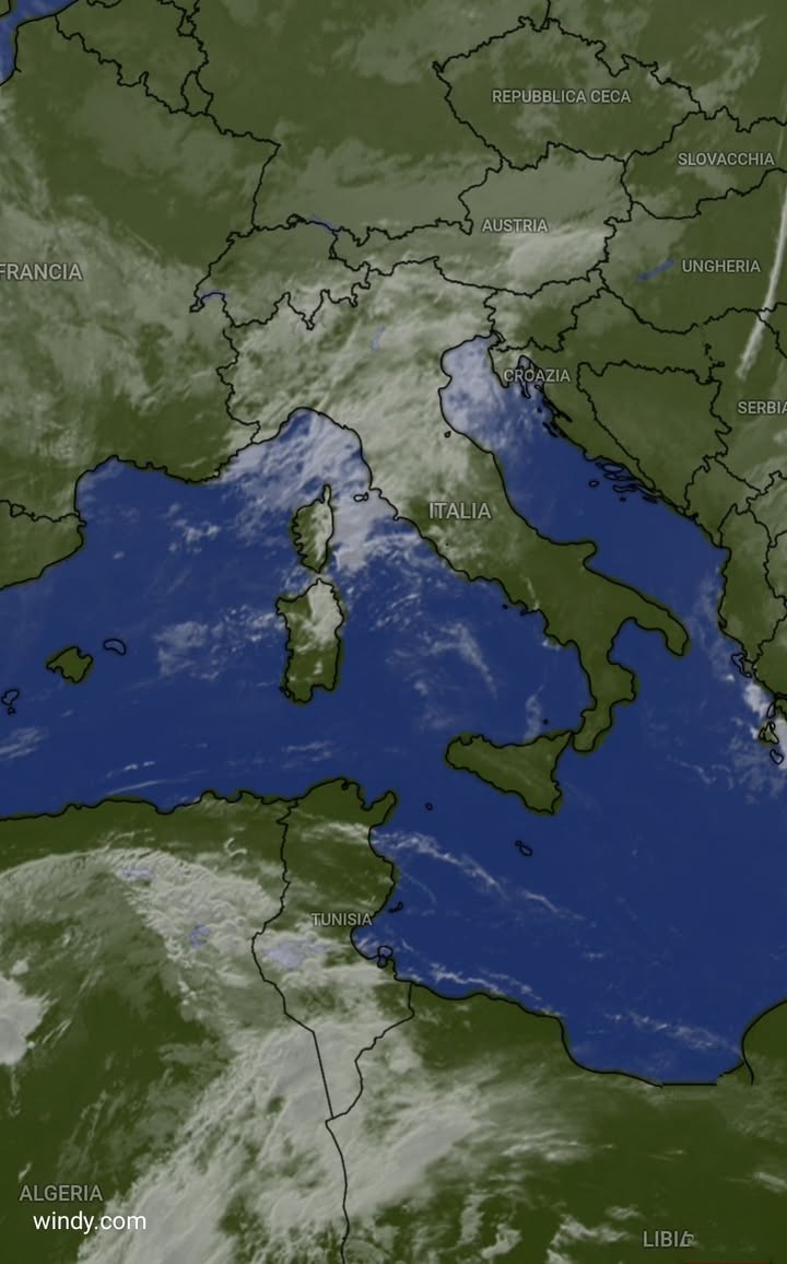 Scopri di più sull'articolo ALTI E BASSI